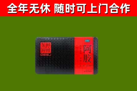 南关区回收阿胶